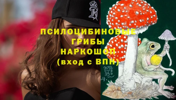 ECSTASY Сатка